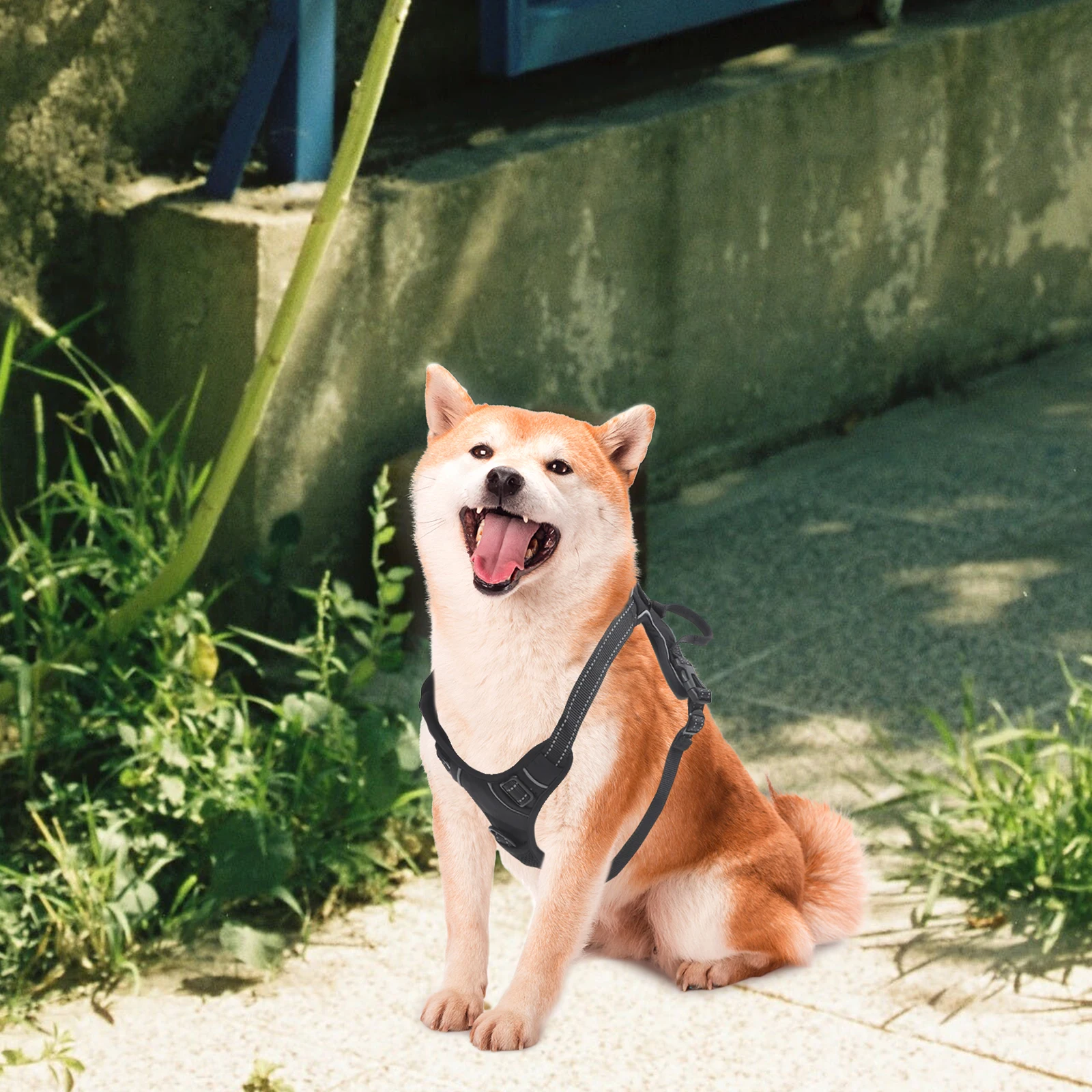 

Pet Sports Straps Camera Chest Harness Dog Fetch Rack Belt Puppy Walk Hydrophilic Durable Soft Washable Quick Release Safety