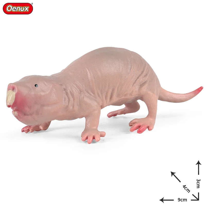 Oenux-Wild Animals Action Figure modelo infantil, coleção em PVC, floresta, orangotango, pombo, ouriço, ouriço-pardo, capivara, brinquedo novo