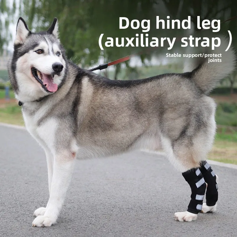 

Pets Joint Auxiliary Strap Long Barrel Dedicated To Postoperative Recovery Adjustible Big Dog Fixation Bracket Dog Knee Pads