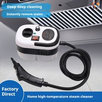 2500W 110V 220V High Pressure And Temperature Handhled Steam Cleaner For Air Conditioner Kitchen Hood Car Steaming Cleaner