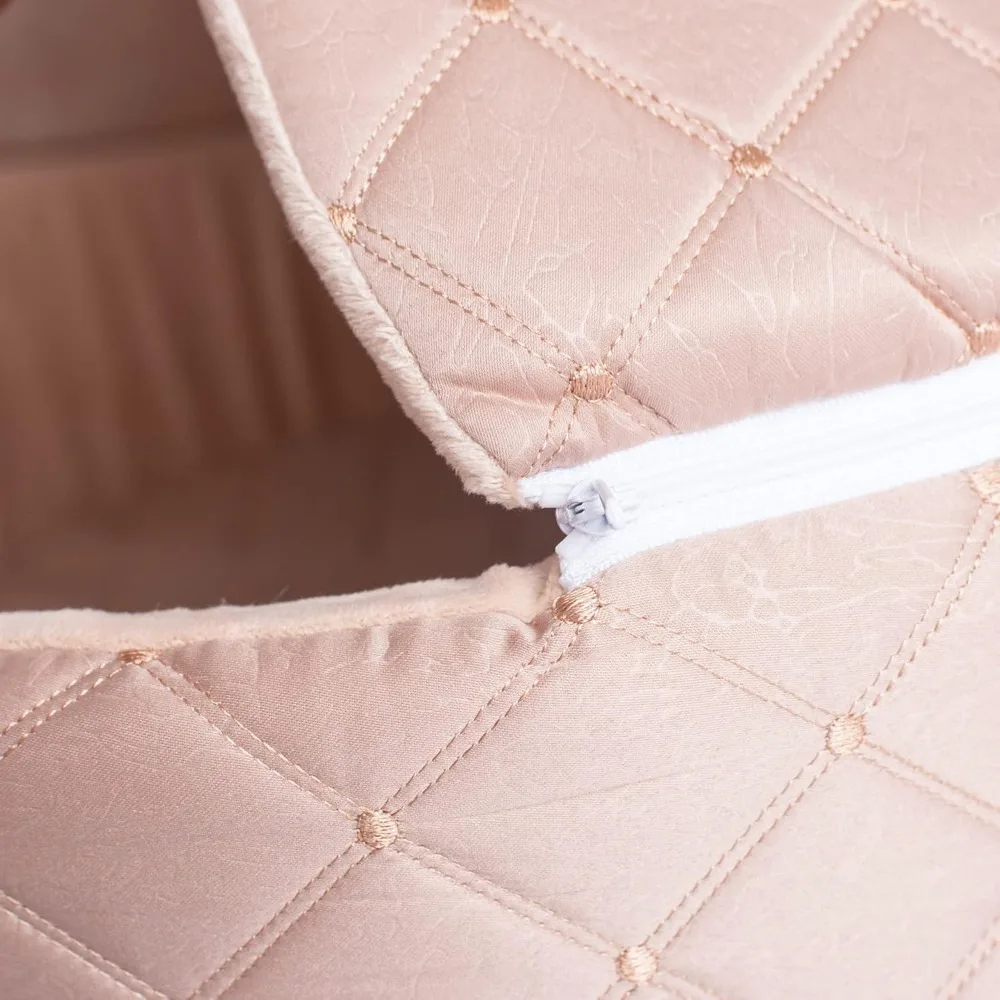 Mittelgroßer, leichter Aprikosen-Katzen-Ruhfleck