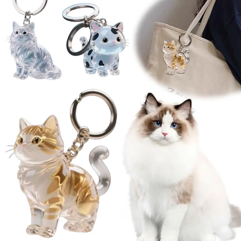 Cute Cat Pet Hair Storage Box Keychain Bag Hanging Decoration Cat Hair Transparent Creative Souvenir,Pet Memorial Ideal Gift