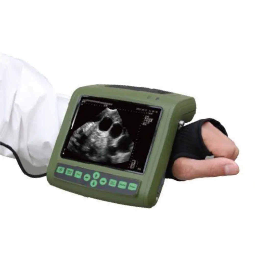 Portable Full-Digital Mechanical Sector Ultrasound Scanner Animals Veterinary Monitoring Device Class II CE Certified 1-Year MTR