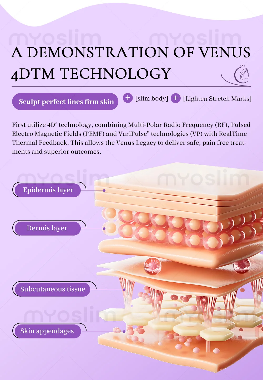 Vip Designated Paym… - image