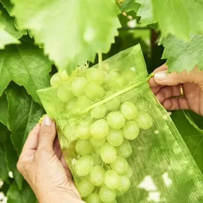 50/10pcs Grapes Fruit Protection Bags Pest Control Anti-Bird Garden Netting Bags Agricultural Tree Garden Supplies Mesh Bags