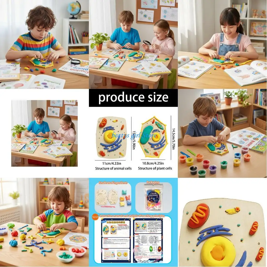 

C7AB 3D научно-образовательный набор. Проект создания модели деревянной клетки со съемными компонентами для анатомических и