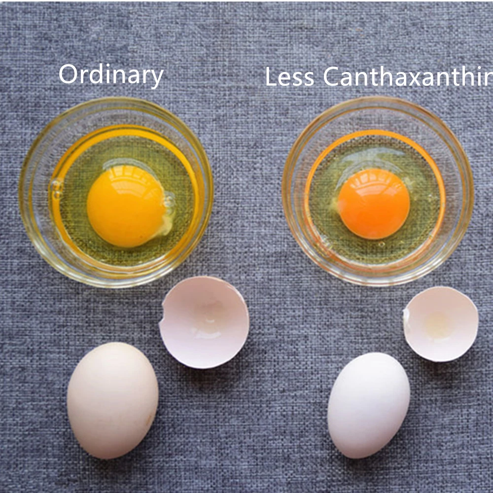 Feed Grade Canthaxanthin/Aphanicin/Carophyll Red Powder for Feed Additive Animal Feed Additive
