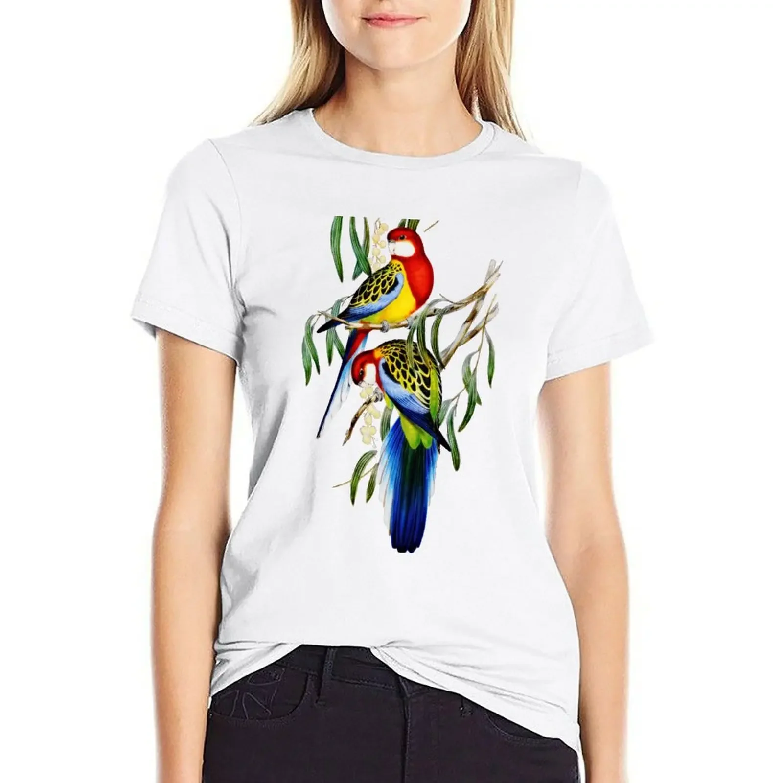 

Eastern Rosella (Platycertus Eximius) by John Gould T-shirt cute clothes tees Women clothing