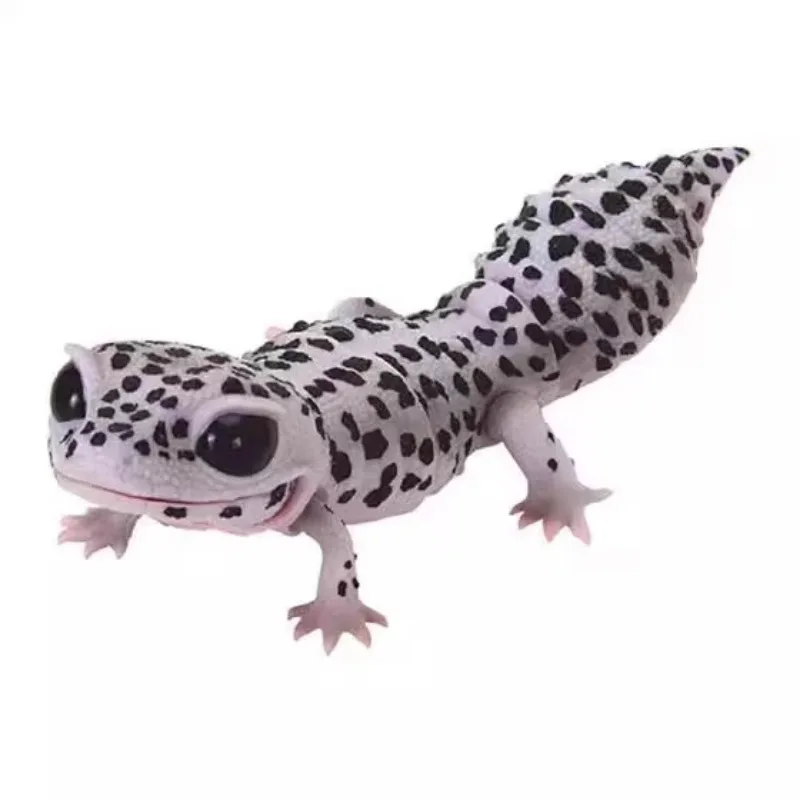 Japanese Genuine, Biological  Fat-tailed Gecko, Round-tailed Gecko, Movable Model Twisted Egg