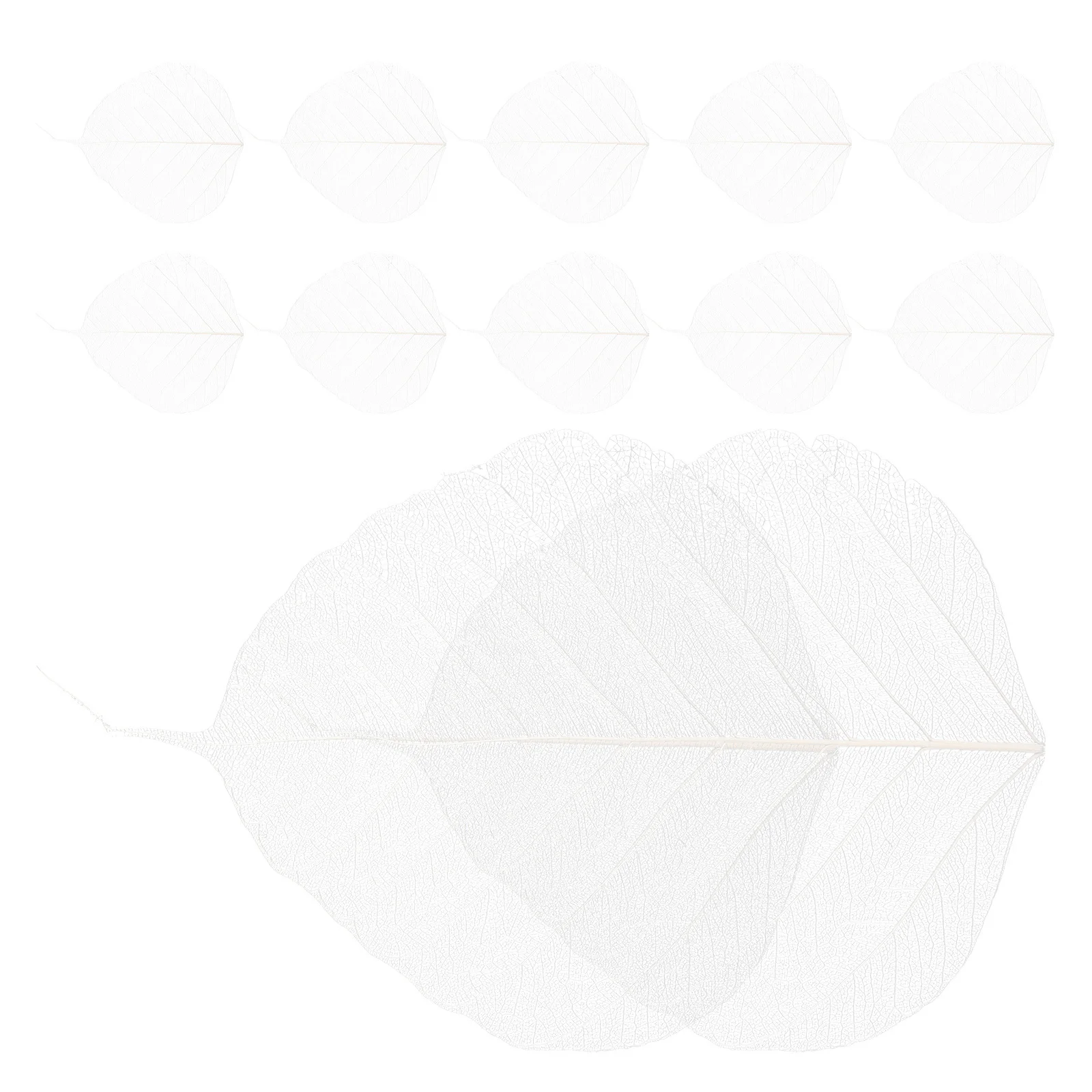 20pcs Leaf Diy Materials For Bookmark Craft Projects Tree Leaves Specimen Dried Leaves For Greeting Cards Scrapbook