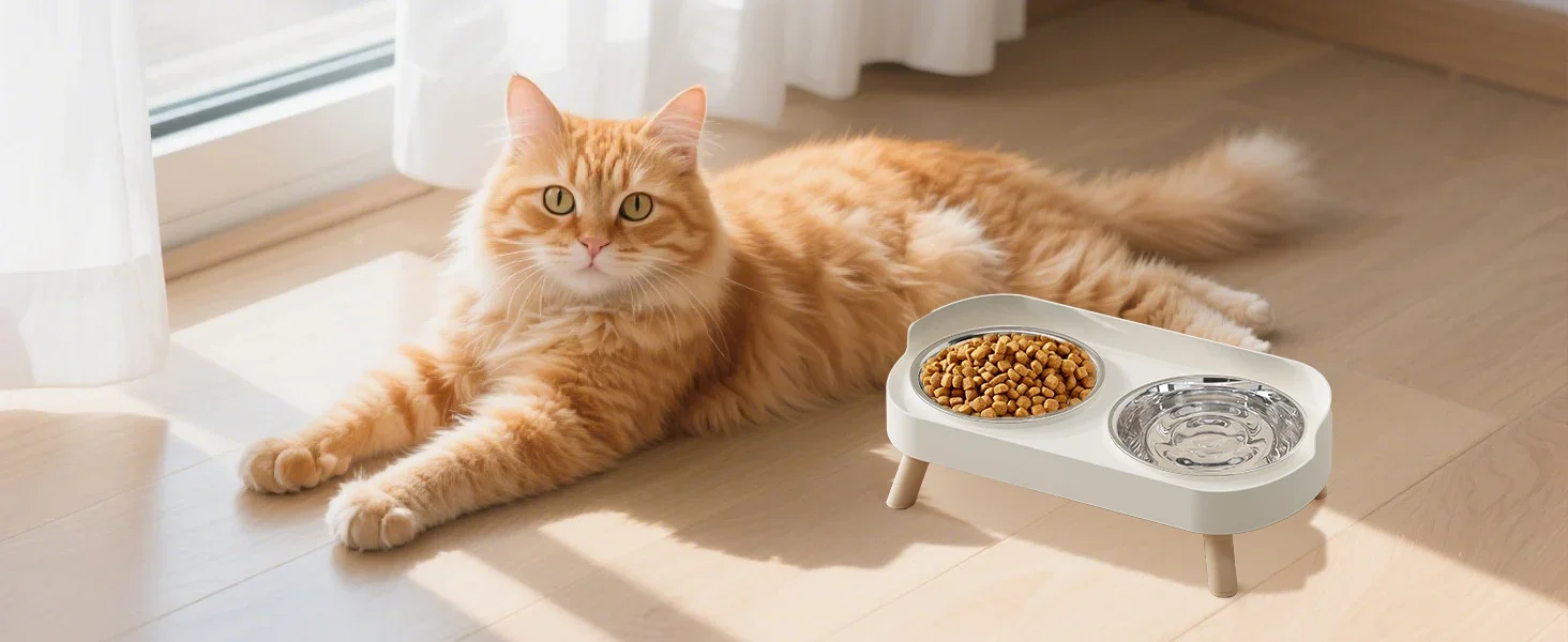 cat bowls