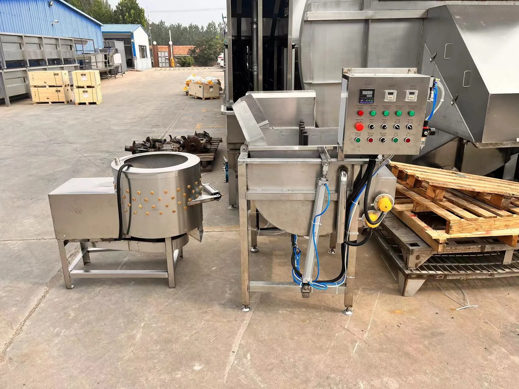 Automatic Chicken Scalding Plucking Machine in Slaughterhouse