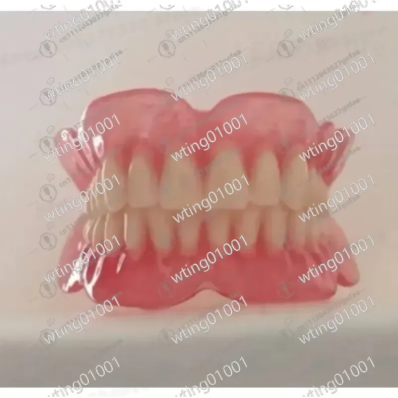 for Dental Education Full Arch and Partial Denture Models Realistic Elderly Teeth Study Aid High Quality Training Sample Kit
