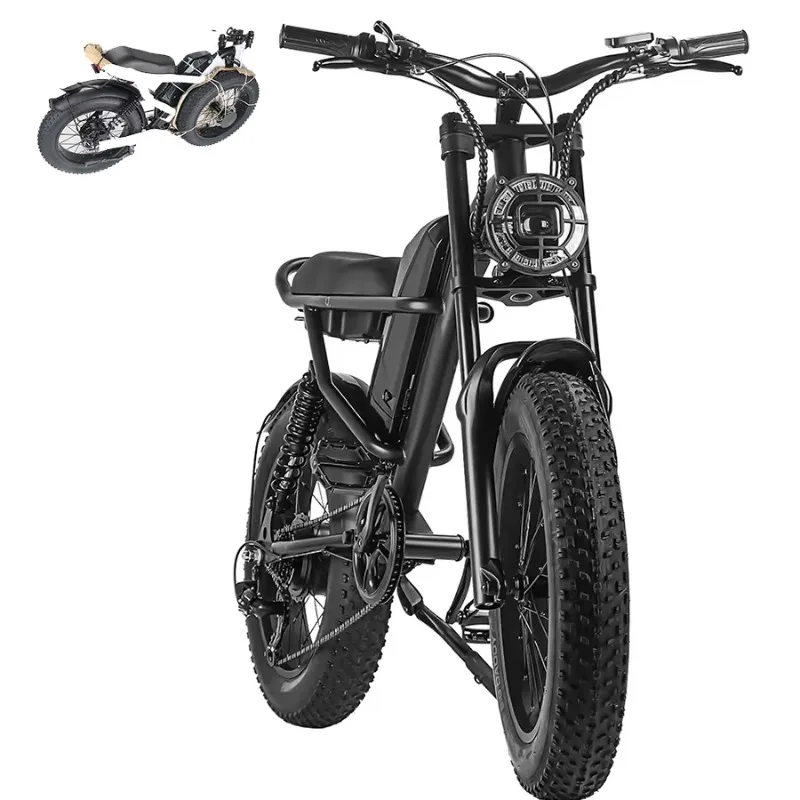BR US Eu Stock Sample Free Shipping Fat Bike 750w Fatbike Electrische Ebike Bicicletta Mtb Velo Electrique Fat Tire Electric Bik
