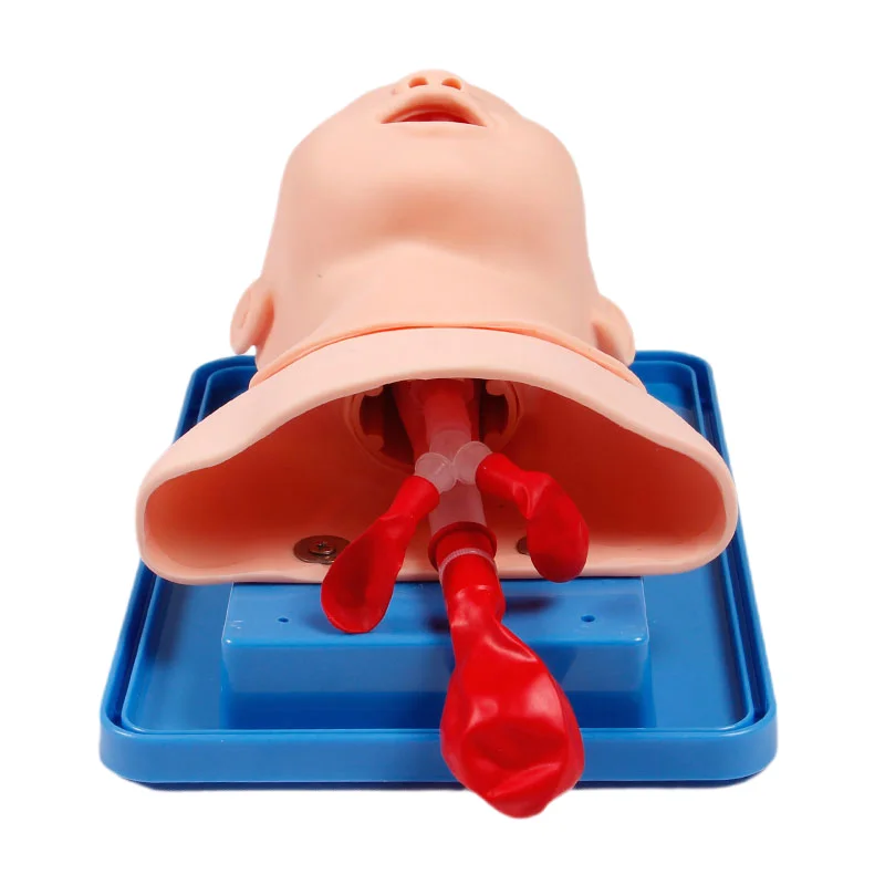 DARHMMY Neonatal Infant Tracheal Intubation Model Analog Double Lung and Stomach Expansion Child Tracheal Intubation Simulator