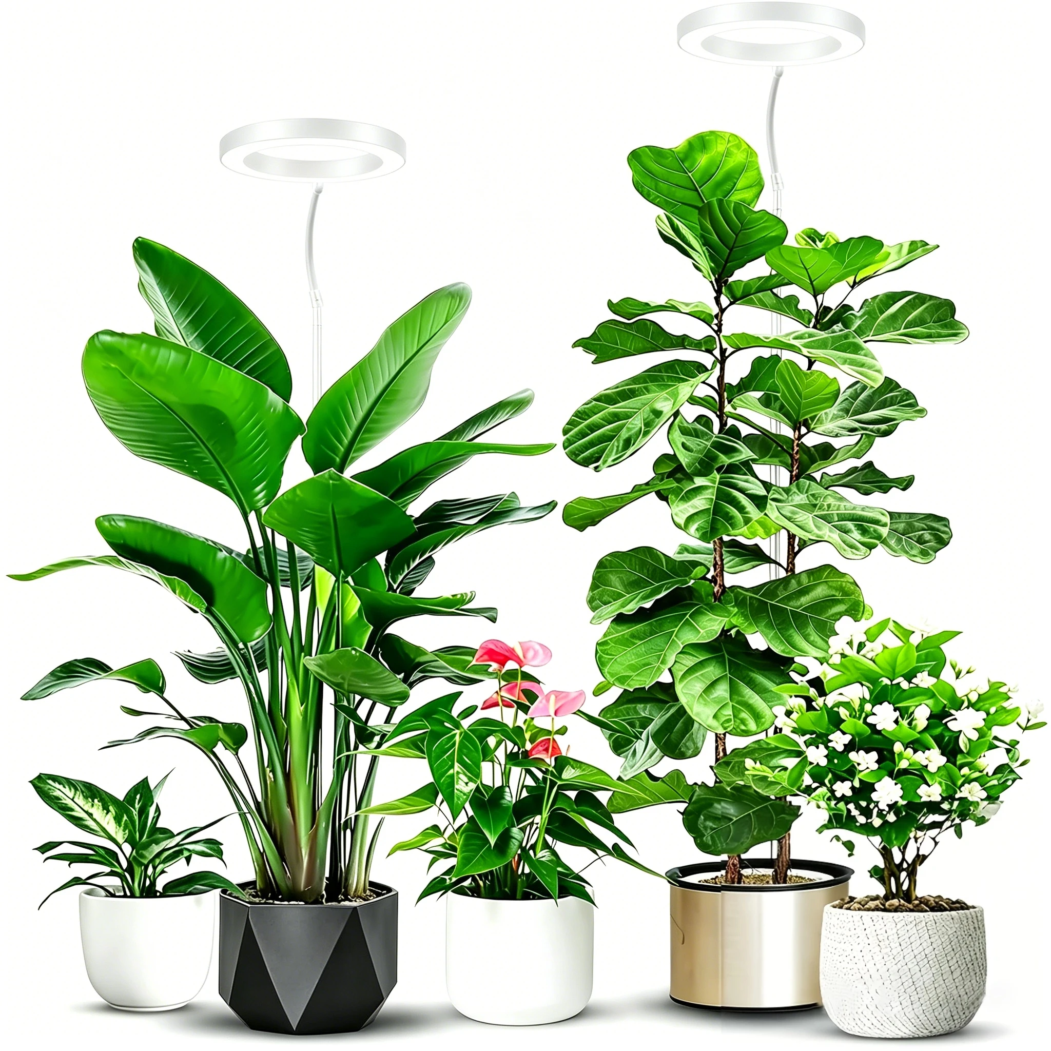 72 LEDs Full Spectrum Plant Grow Light 65 Inch Adjustable Height Automatic Timer with 3/9/12 Hours 10-Level Brightness 360 Degree Gooseneck for Indoor Plants Homes Offices