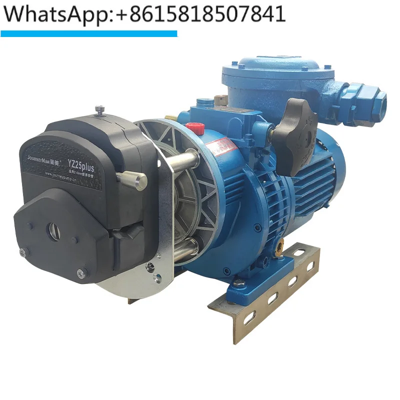 Peristaltic pump large flow explosion-proof motor FB600 electric 380V dust stainless steel chemical spray paint