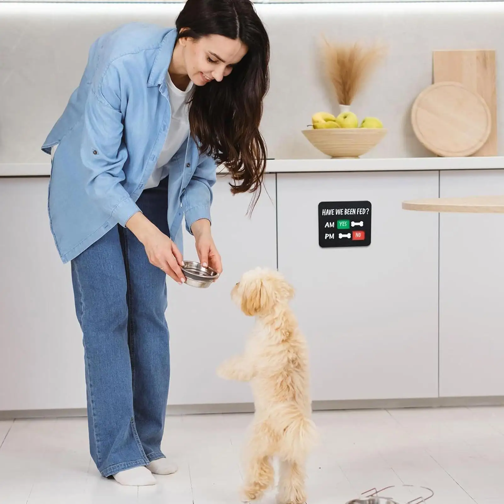 Dog Has Been Fed Sign Magnetic Prevent Overfeeding Chart 2-Meals Cat Feed Indication Charts for Food Home Apartment Kitchen Door