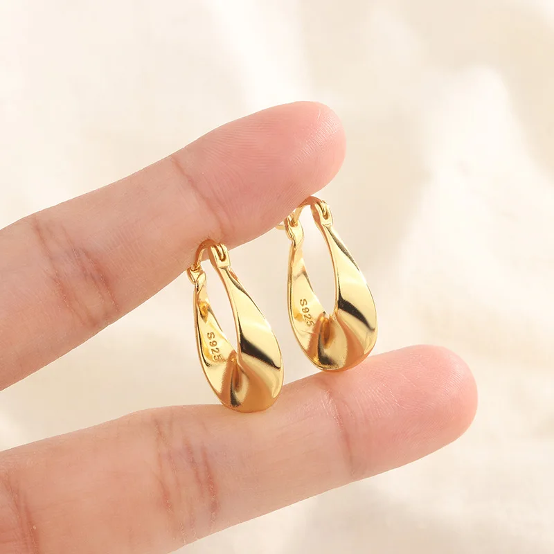 925 Silver Needle Korean Twist Ear Ring Simple Earrings OL Commuter Exquisite Elegant Earrings All-match Earrings