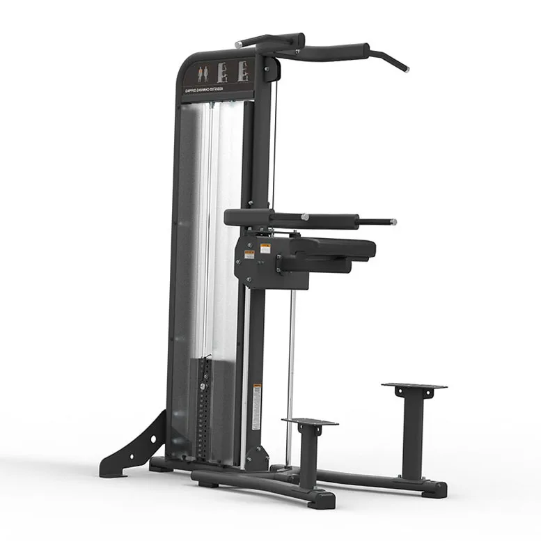 Training Equipment Bodybuilding Abdominal Exercise Vertical Knee Chin up Dip Leg Lift Raise Machine for Sale