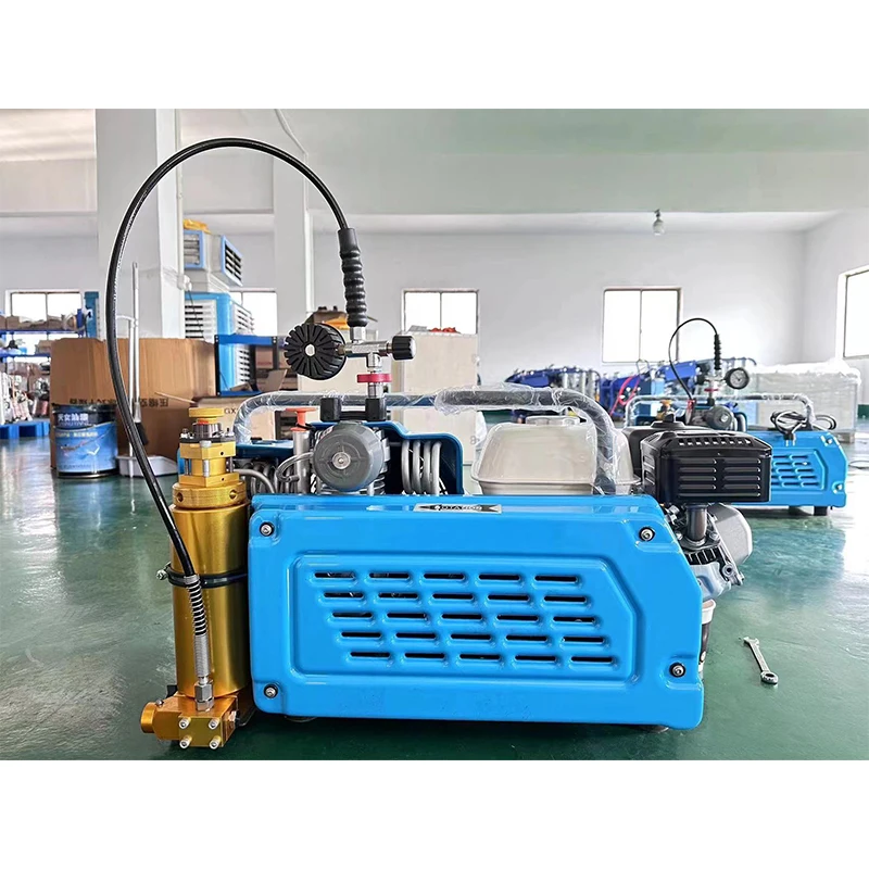 Germany Type 4500PSI 300bar Auto-Stop High Pressure Scuba Diving Compressors Electronic Measuring Instruments Air Compressor