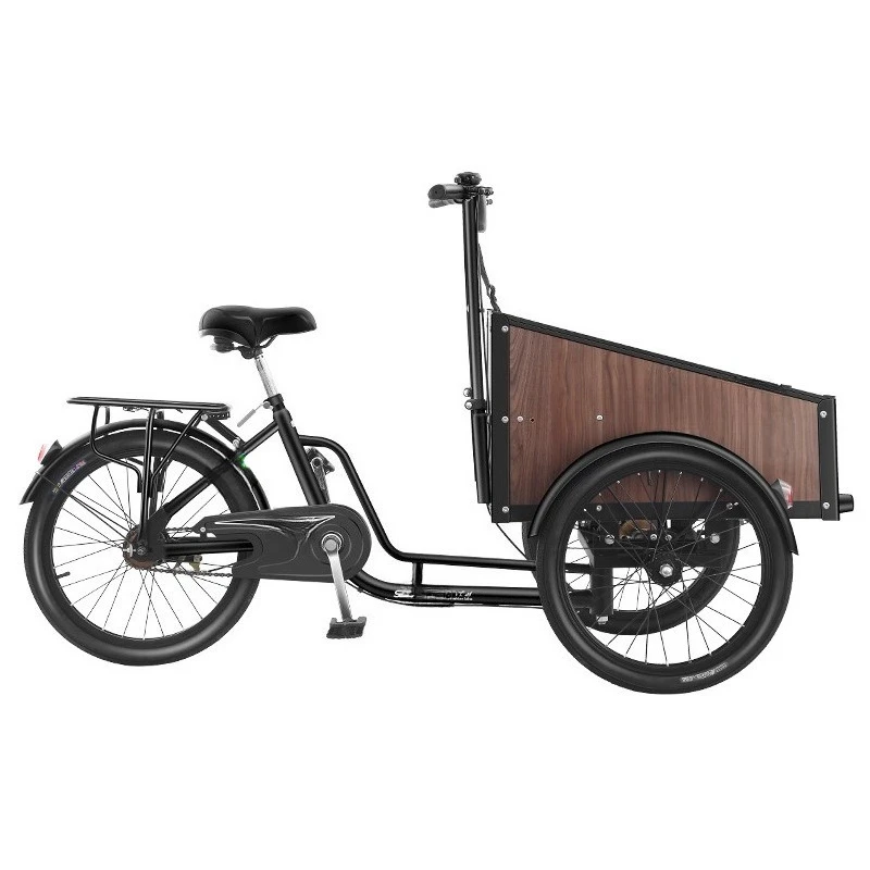 

tricycle, middle-aged and elderly scooter, pick up and drop off children