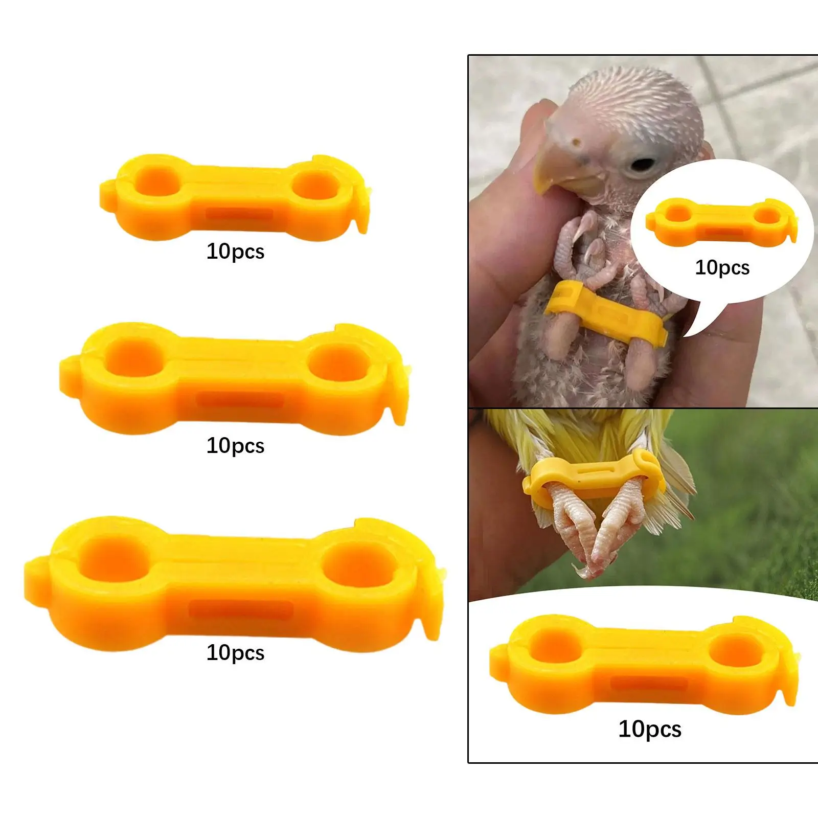 10x Poultry Leg Bands Poultry Leg Ties Fixing Clips Chicken Hobble Braces for