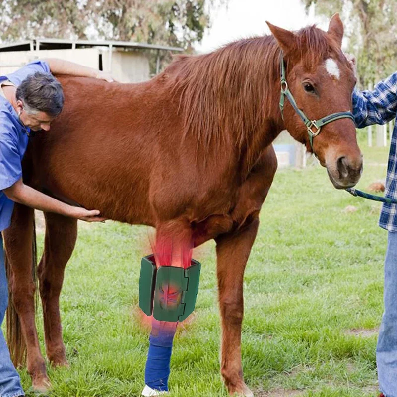 سوف تحب ذلك المعدات البيطرية العلاج البارد علاج طبي لتخفيف الآلام لسباق الخيول وسادة قابلة للطي ل
