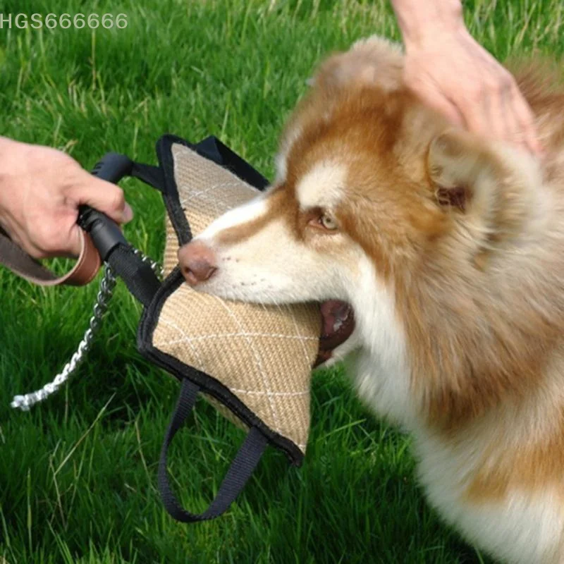 Bite Tug Training Pillow for Dogs 2 Handles Outdoor Durable Toy for Puppy Chewing and Agility Exercise