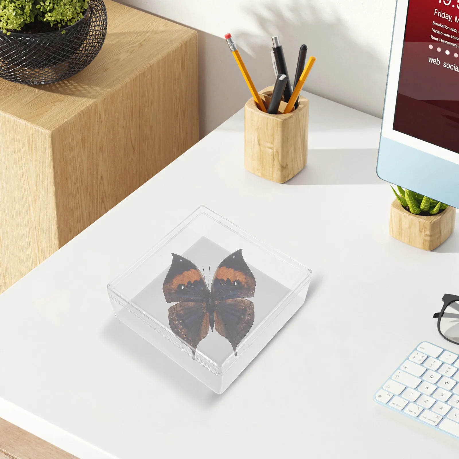 صندوق عرض العينات الشفاف DIY علبة أكريليك لعرض مجموعة الدبوس مثالية لتعليم البحث والمقتنيات #3