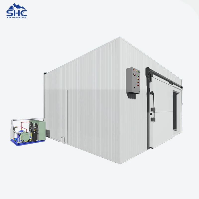 Walk in Freezer Cold Room /Cold Room Storage/Cold Storage Walk-in Cold Storage Cold Storage Project