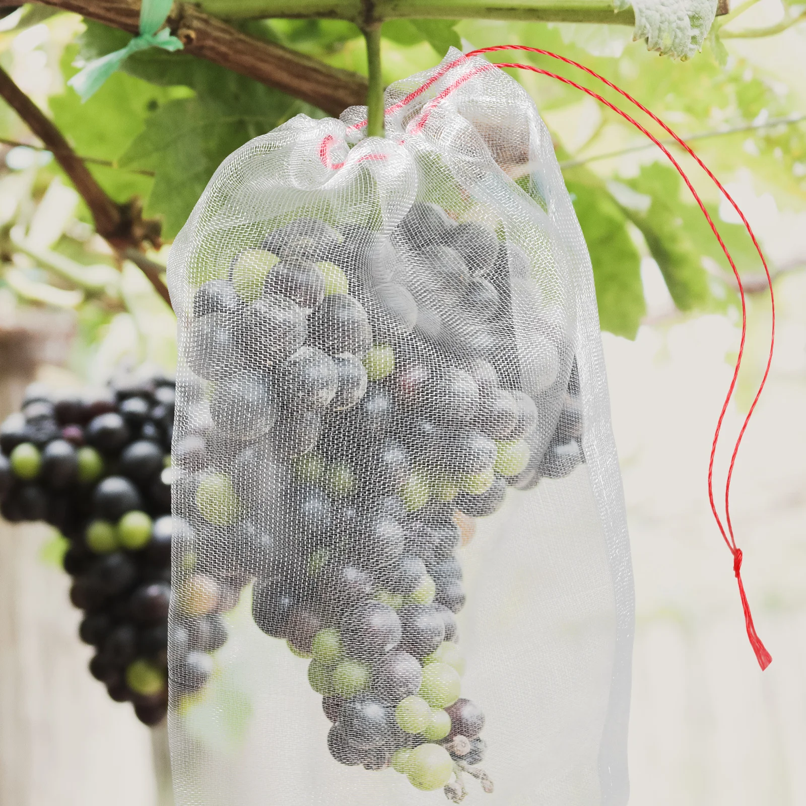 

25pcs Plant Protection Cover Wear-Resistant Mesh Bag For Fruit Trees Garden Flowers Outdoor Plants With Drawstring Anti-Insect