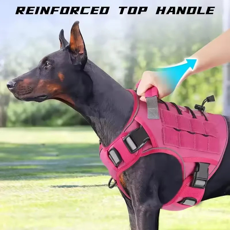 #24 Pet Harnesses List of Top Picks