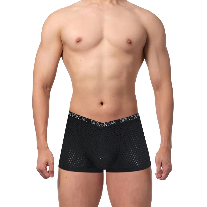 Men's Low Rise Mesh Boxer Briefs, Breathable Stretch Underwear, Quick Dry Comfort Underpants for Daily Wear, Gym Workout & Outdo