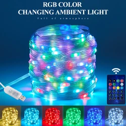 Christmas tree decoration fairy lights USB LED RGB color light string APP application remote control intelligent lamp