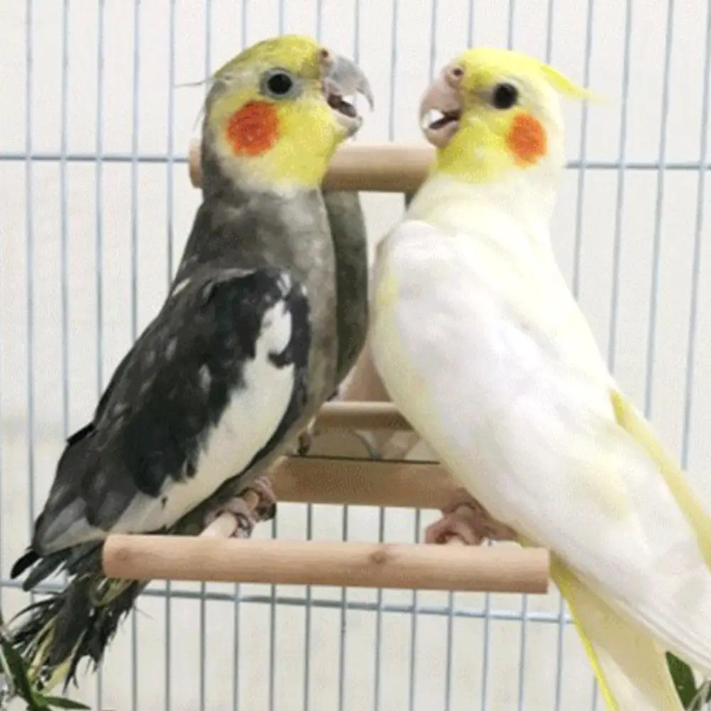 Bird Mirror Wooden Interactive Play Toy For Small Parrot Budgies Parakeet Cockatiel Conure Lovebird Cage Accessories