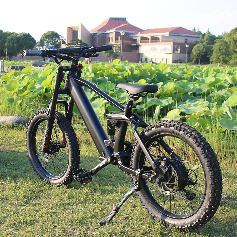 

Electric Mini Dirt Bike For Kids750W MotorFront And Rear Disc Brake Children's Electric Bicycle