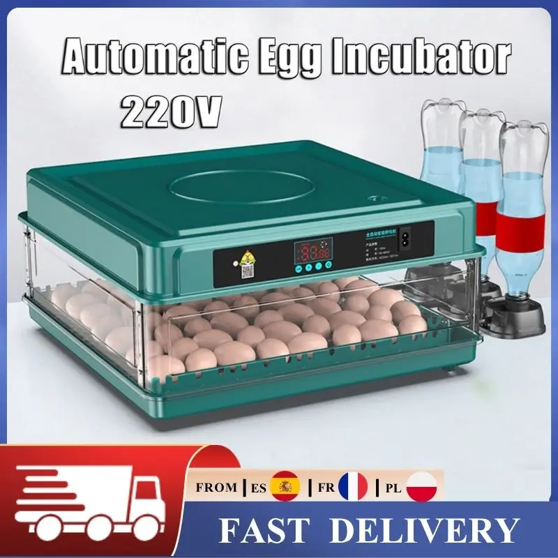 Incubateur d'œufs numérique 15-48 œufs, automatique, avec système d'arrosage et de retournement, contrôle de la température, plateau pour l'éclosion de poulets, canards, cailles, pigeons