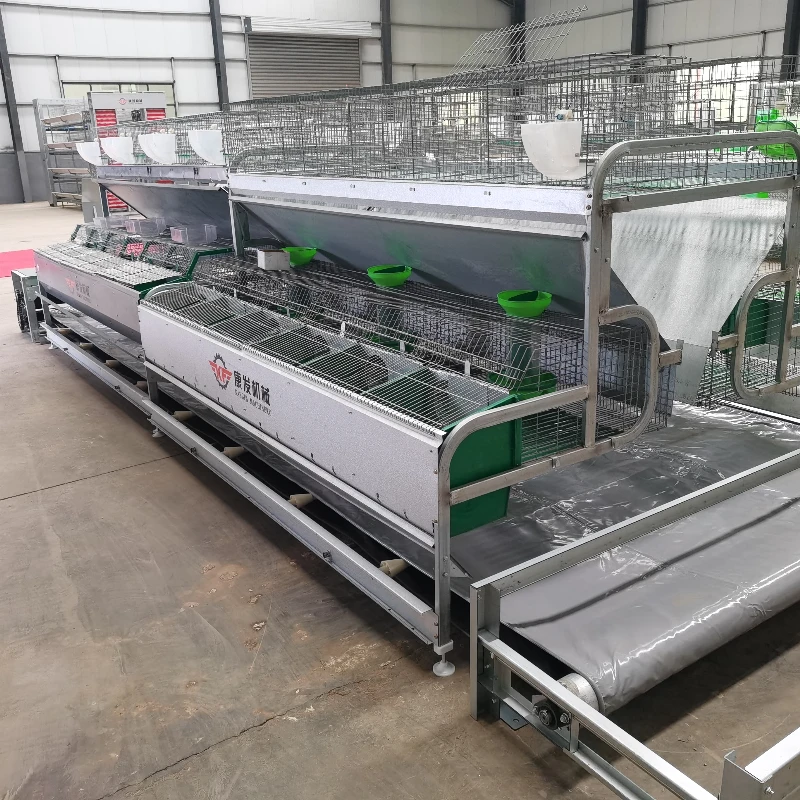 Farming Commercial Rabbit Breeding Cage with a Manure Collection System