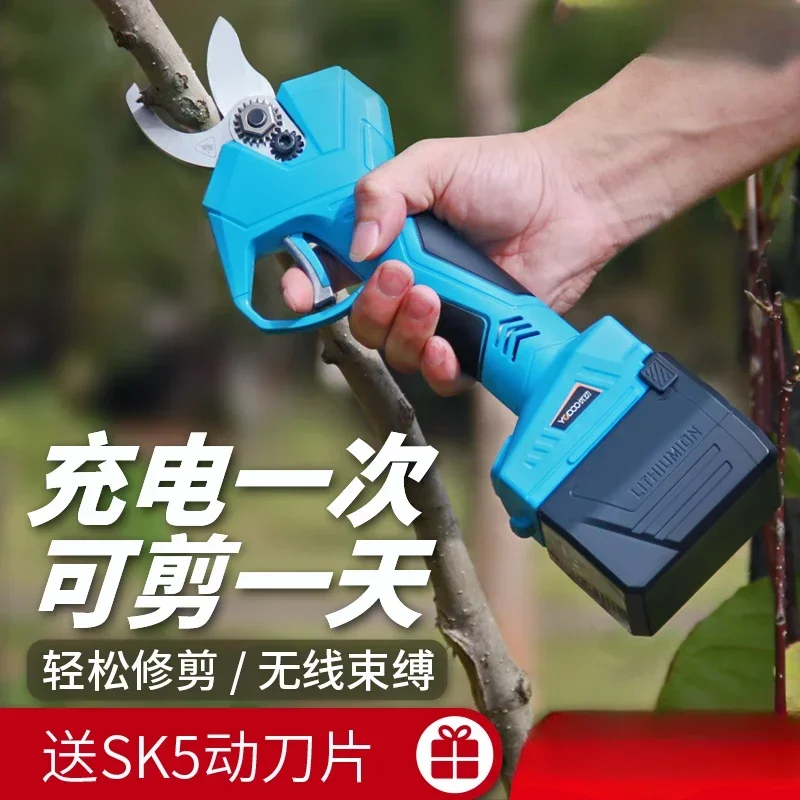 Battery for Garden Wide Application Plug and Play Stable Performance High Quality Sturdy Construction Easy Installation
