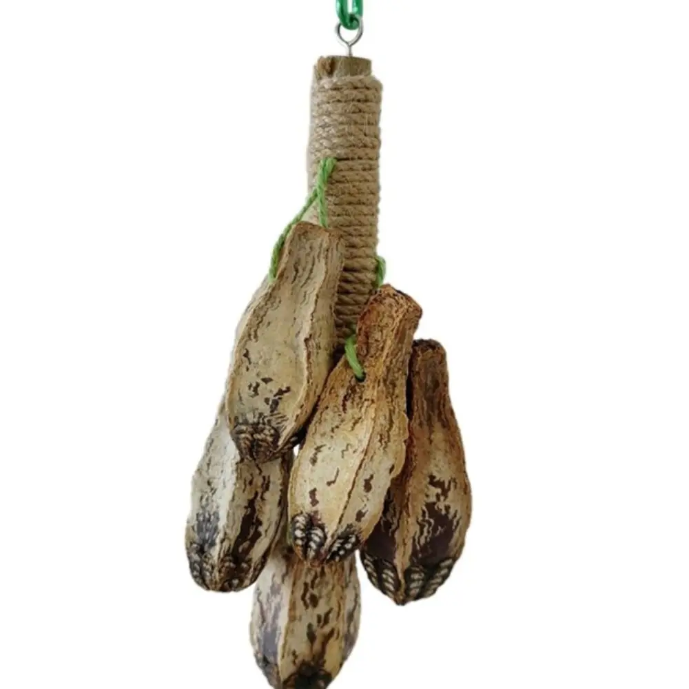 

2023 Colorful Bite Resistant Durable Wooden Cockatiel Swing Climb Parrot Bite Parrot Stand Bird Foraging