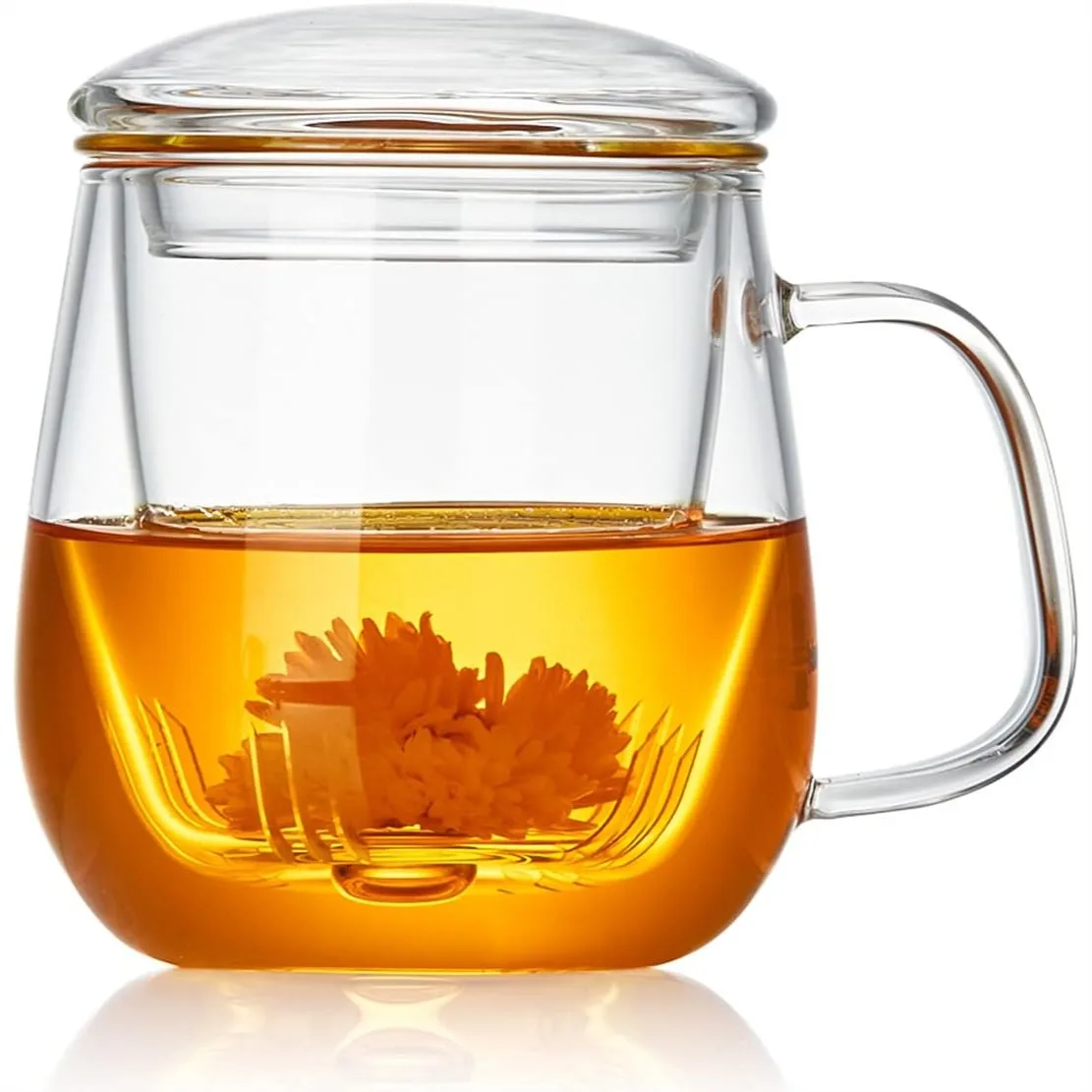 Glass Tea Cup with Infuser and Lid, 17.6oz Large Borosilicate Teacup, Clear Mug for Loose Leaf Tea, Microwave & Dishwasher Safe