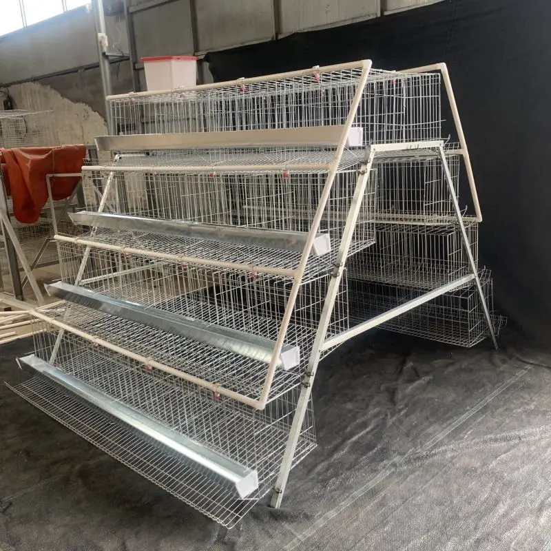Layer Chicken Battery Cages, 128 Birds Capacity, Plastic Material, A Type H Type, Poultry Farm Equipment, Manual Operation