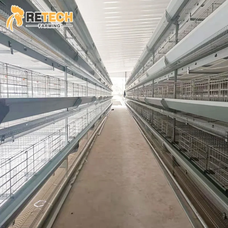 レテック養鶏場設備 4段H型全自動バッテリーレイヤーチキンケージ