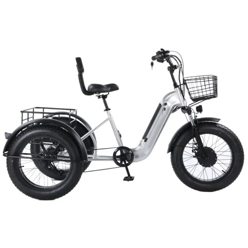 For Commuting Outing Electric Tricycle 500W48V20AH Lithium Battery 20*4.0Inch Fat Tire Ebike Elderly People Snow Electric Bike