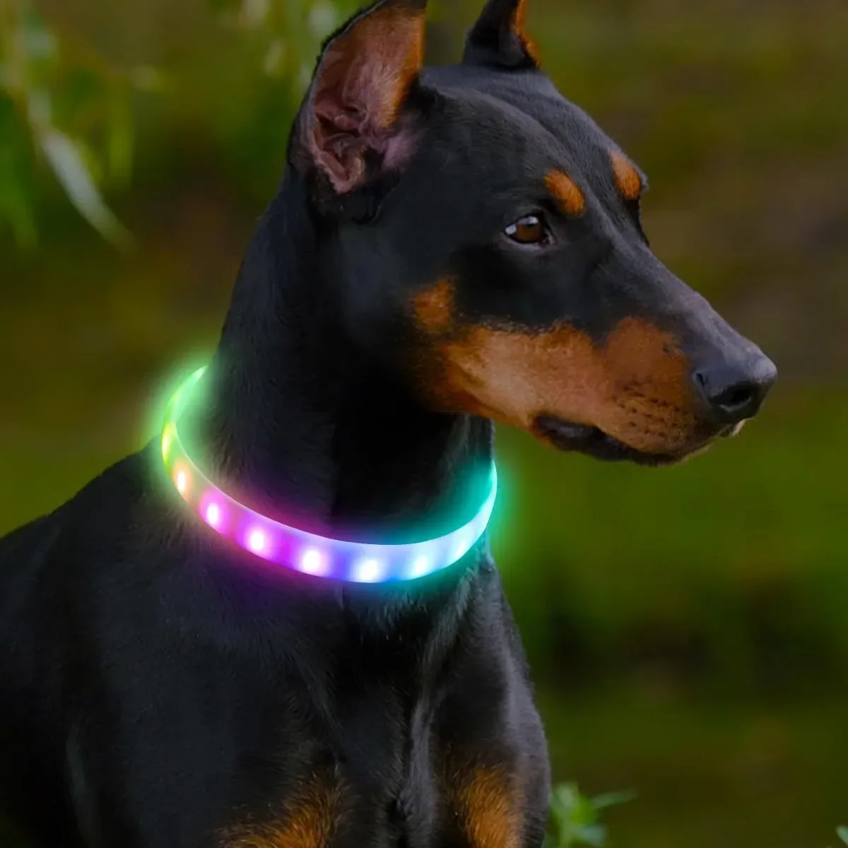 

New Led Luminous Dog Collar PVC Waterproof For Dogs Nine Flash Mode Luminous Collar Usb Light Night Safety Pet Glowing Accessory