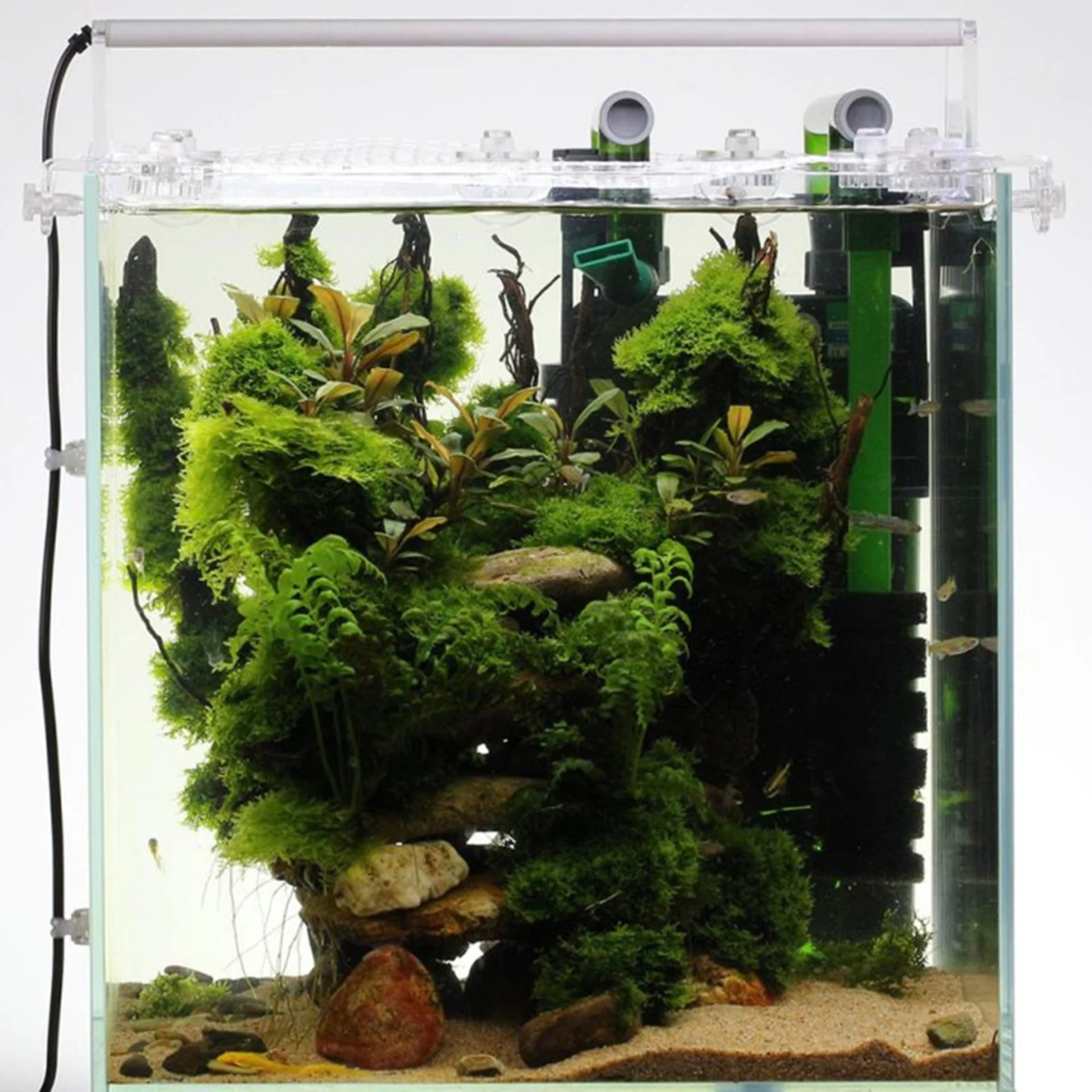 Thumbnail 2 - #25 Best Aquarium Fish Nets to Buy In 2026