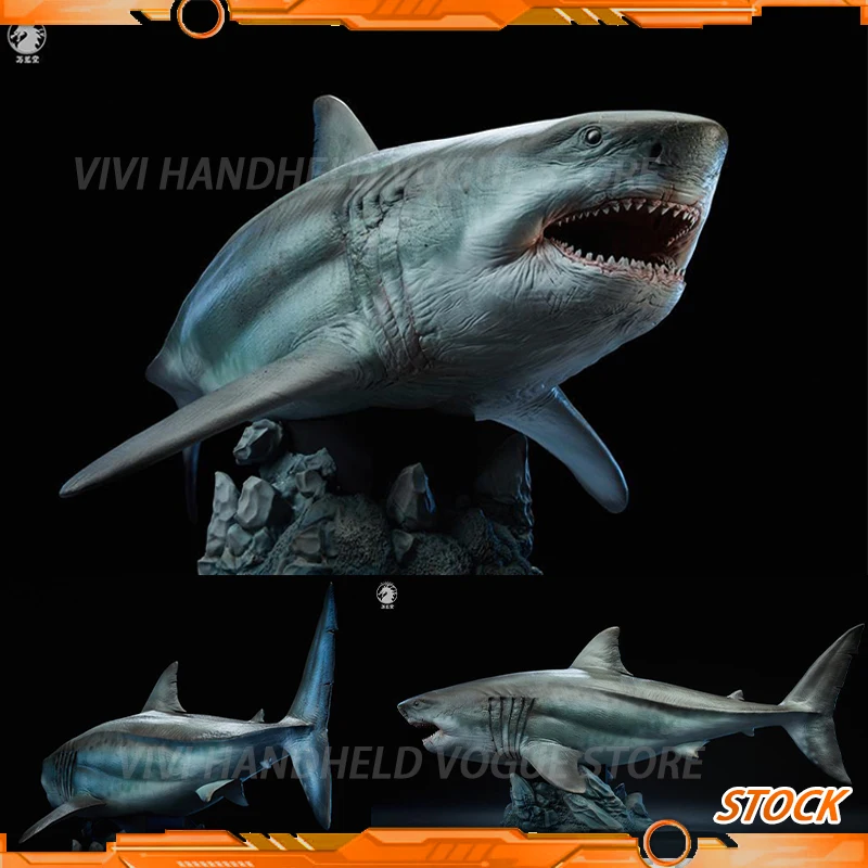 

In Stock W-DRAGON Megalodon Model 1/35 45cm Static Statue Carcharocles Megalodon Paleontology Undersea Behemoth