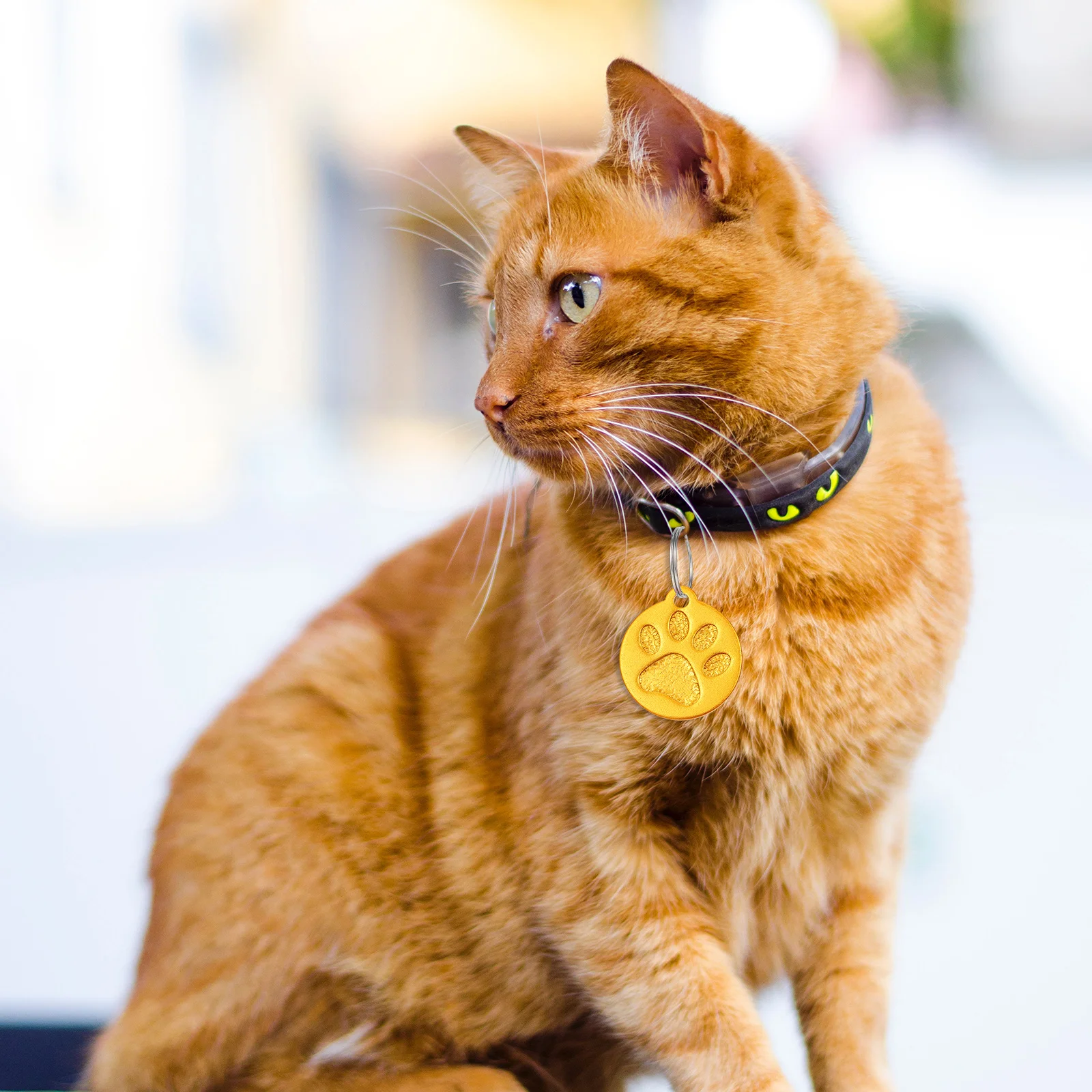 

3Pcs Pet Id Tags Customizable Dog Paw Shaped Anti Lost Hanging Tags Durable Metal Collar Decor Anti-Lost Hanging Labels