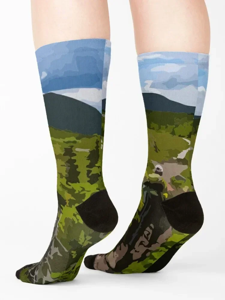 Appalachian Trail Painting Socks Argentina loose christmas stocking winter thermal Man Socks Women's